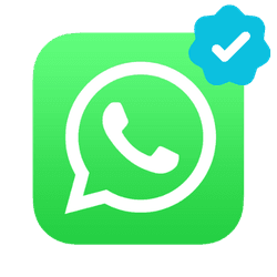 Tudo é oficial - automatizar whatsapp